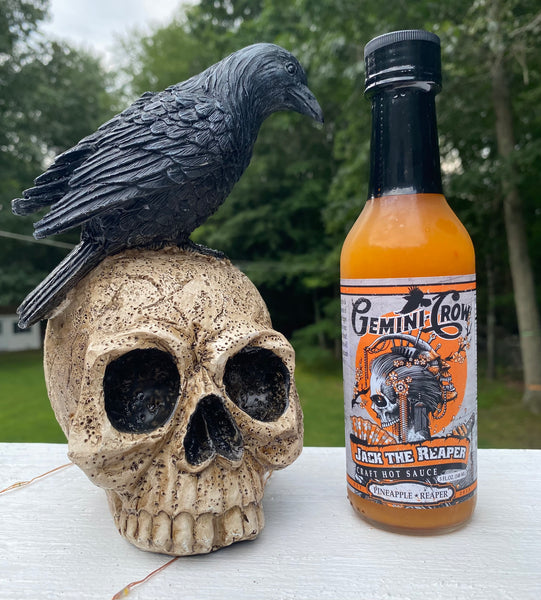 IMG_1187_grande.jpg?v=1721681537